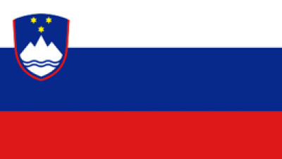 Slovenian flag