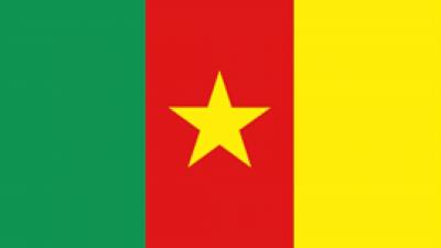Cameroon flag