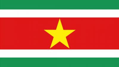 Surinamese flag