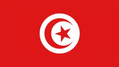 Tunisian flag