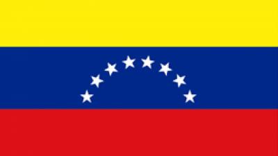 Venezuelan flag