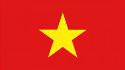 Vietnamese flag