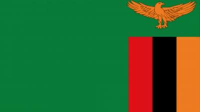 Zambia Flag