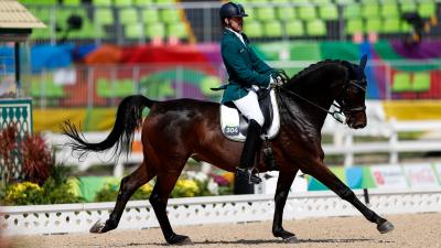 male Para equestrian rider Rodolpho Riskalla on a horse