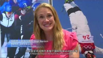 Beijing 2022 Mascot Competition