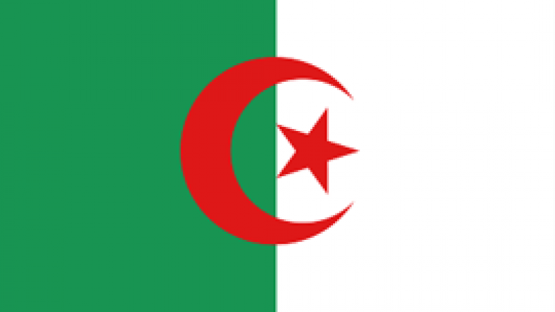 Algerian Flag