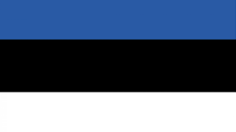 Estonian flag