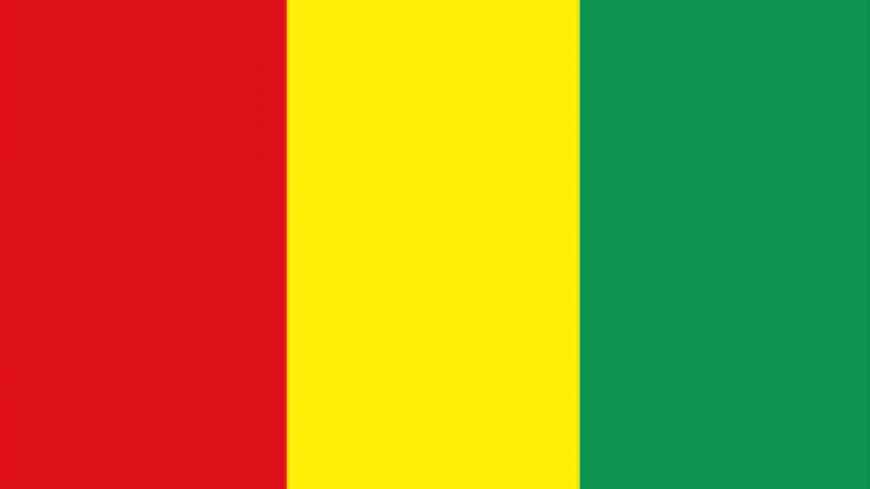 Guinea Flag