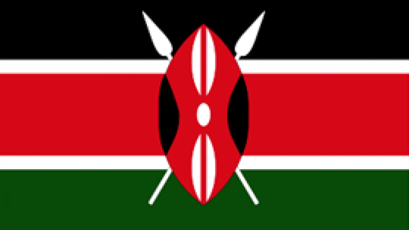 Kenyan flag