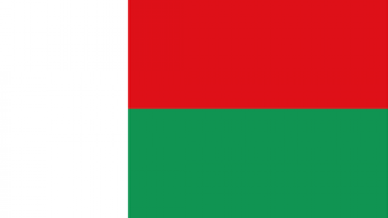 Madagascar Flag