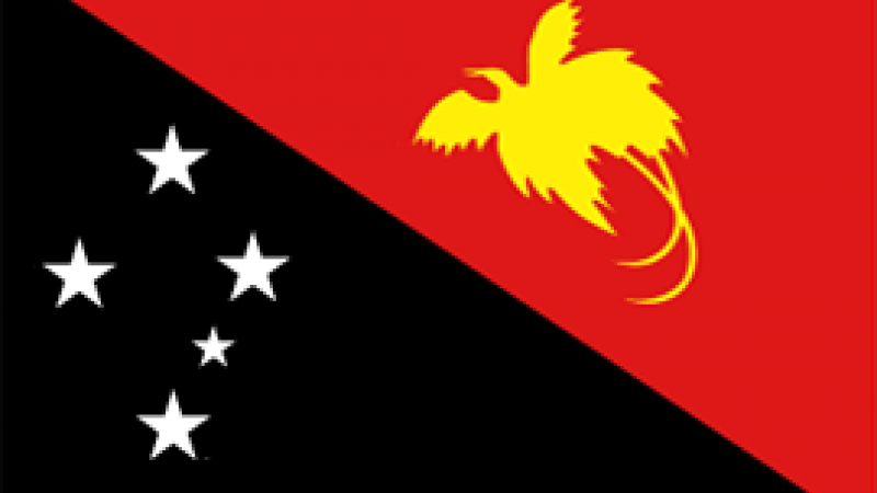 Papua New Guinea's flag