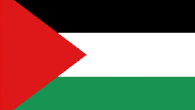 Palestinian flag