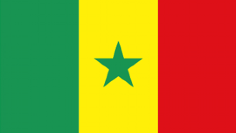 Senegalese Flag
