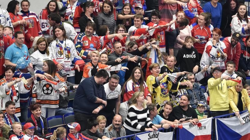 Czech Republic hockey fans cheer on their team