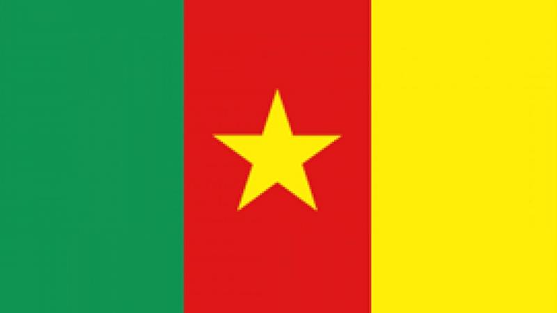 Cameroon flag