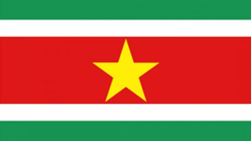 Surinamese flag