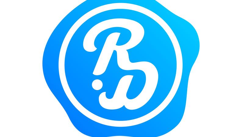Blue and white logo of agency named Rheindigital