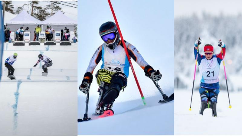 A photo collage with two snowboarders, an alpine sit-skier and a cross-country sit-skier