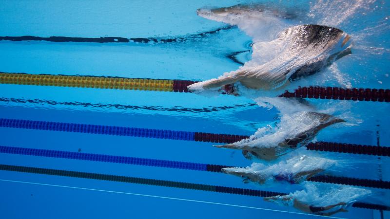 An underwater image of five swimmers jumping in a swimming pool