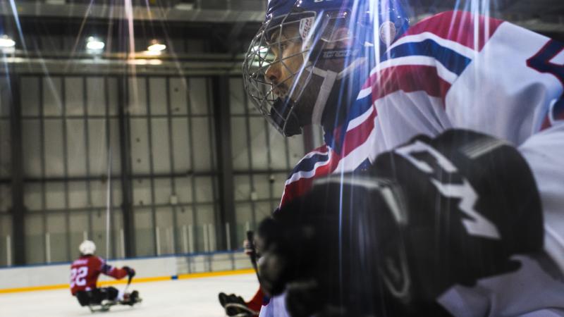 A male Para ice hockey player in an ice rink