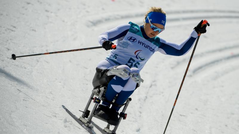 A female sit-skier with a bandana with the flag of Finland competing in cross-country skiing