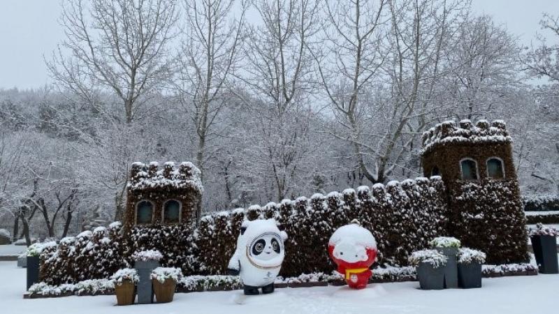 Snow covered scene with Beijing 2022 mascots