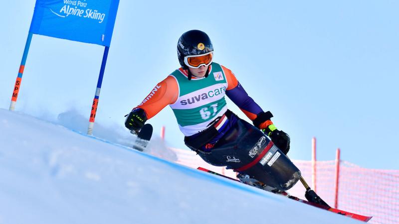 A sit skier going around the gates and skiing down the hill.