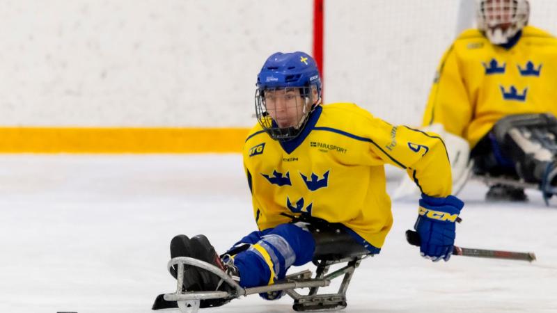 Para Ice Hocket athletes in action