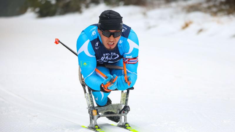 A male sit-skiing athlete wearing a blue skiing suit is competing at the Para Biathlon World Championships