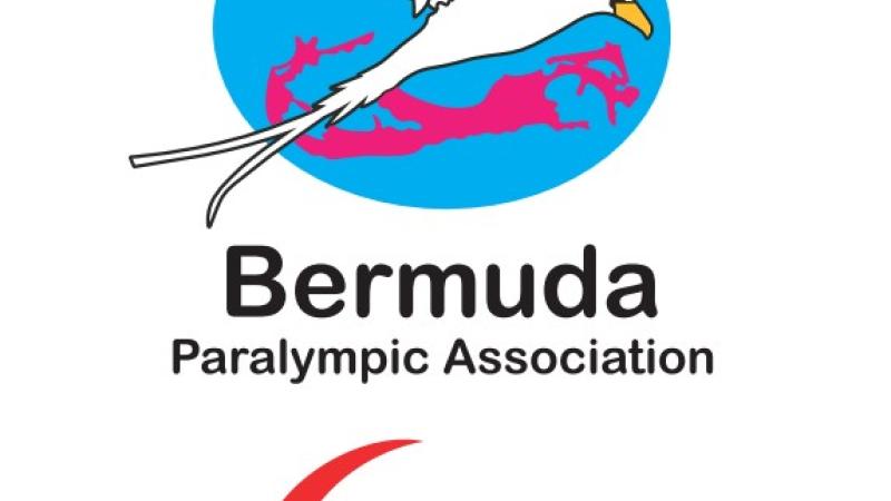 Bermuda NPC Emblem Updated 2025