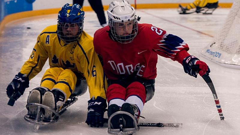 A Norwegian female Para ice hockey player in a challenge with a Swedish male player