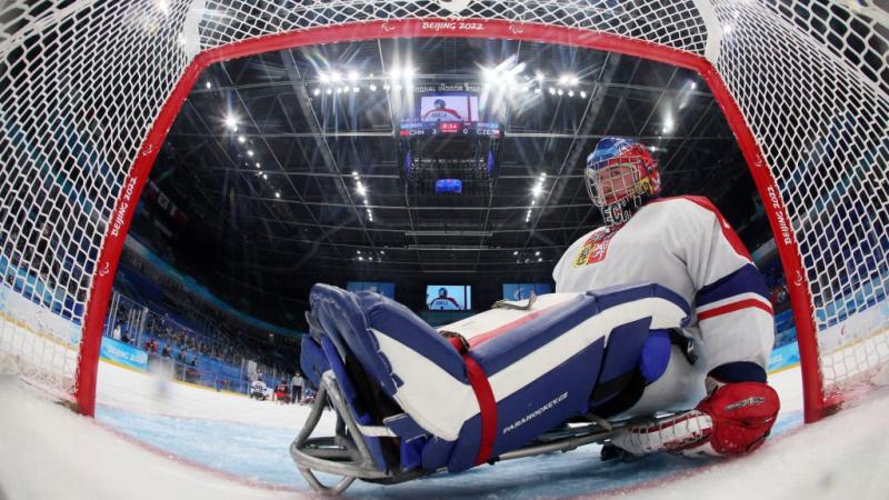 A Czech goaltender in a Para ice hockey game