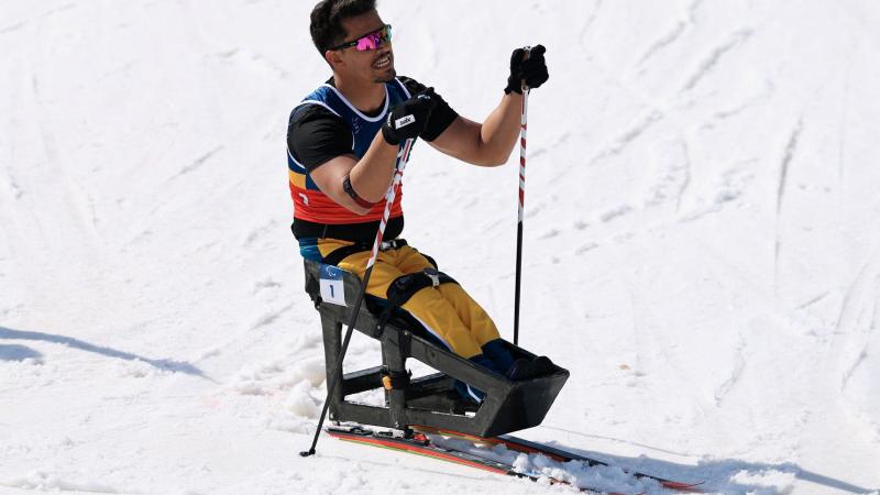 A male Para cross country skier, moving forward while competing in the sitting category