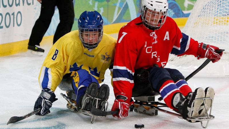 Ice Sledge Hockey match - Norway vs Sweden