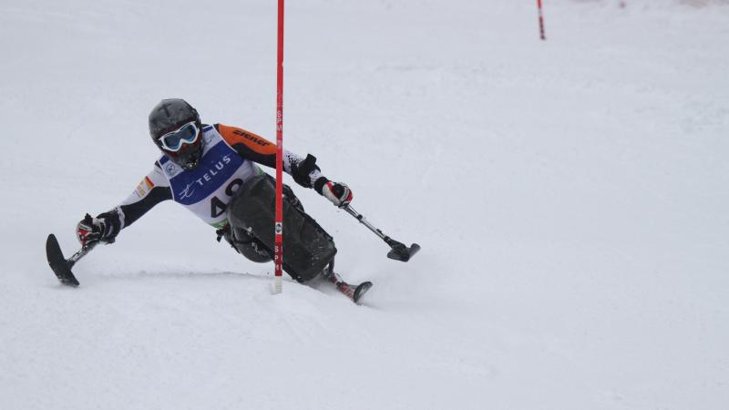 Sit skier