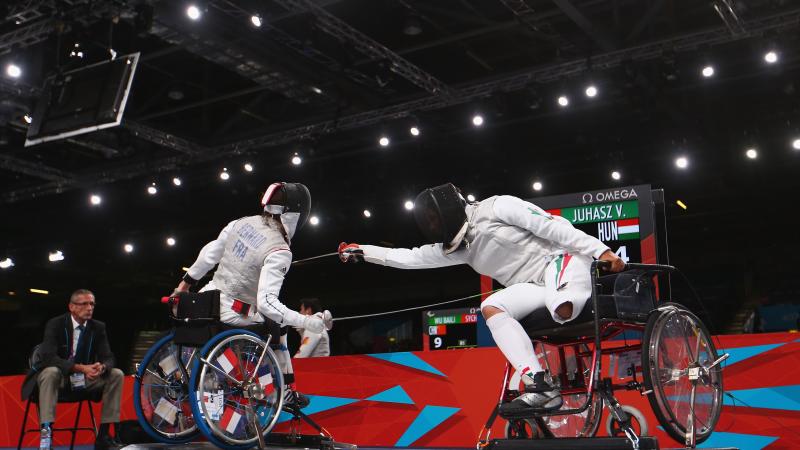 Wheelchair fencing