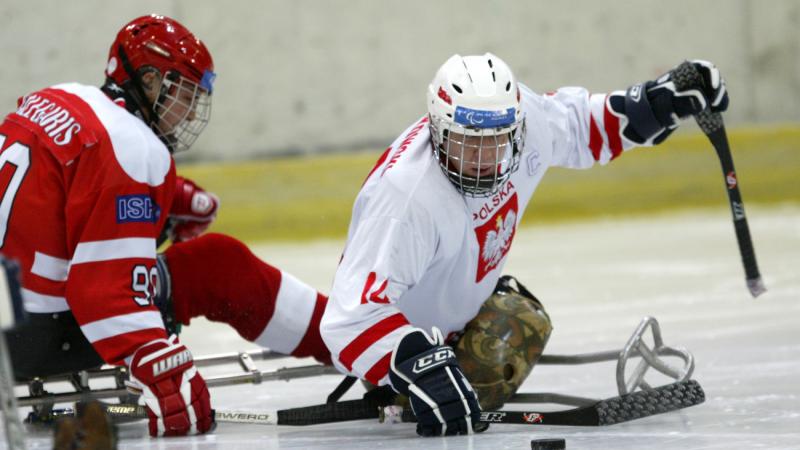 Poland ice sledge hockey