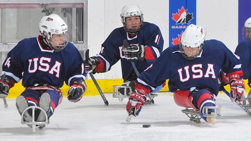 USA sledge hockey