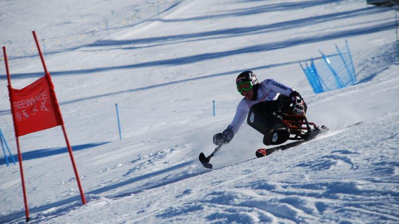 A picture of a woman skiing on a hedge.