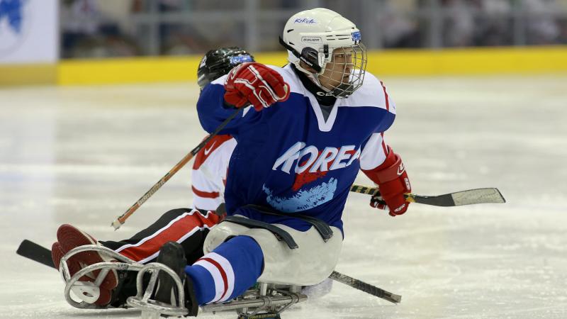 Korea ice sledge hockey