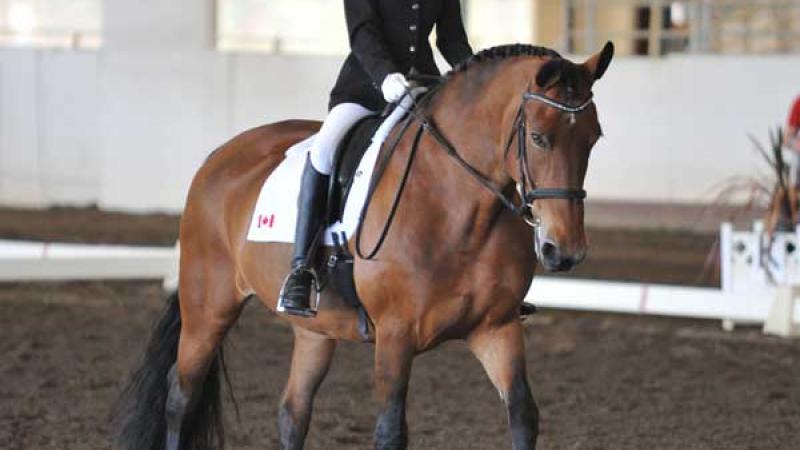 Canadian rider Robyn Andrews on her horse called Fancianna