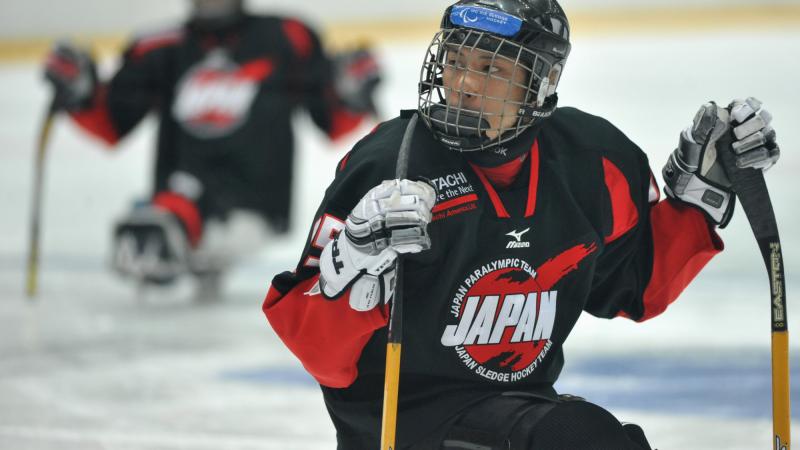 Japan ice sledge hockey 