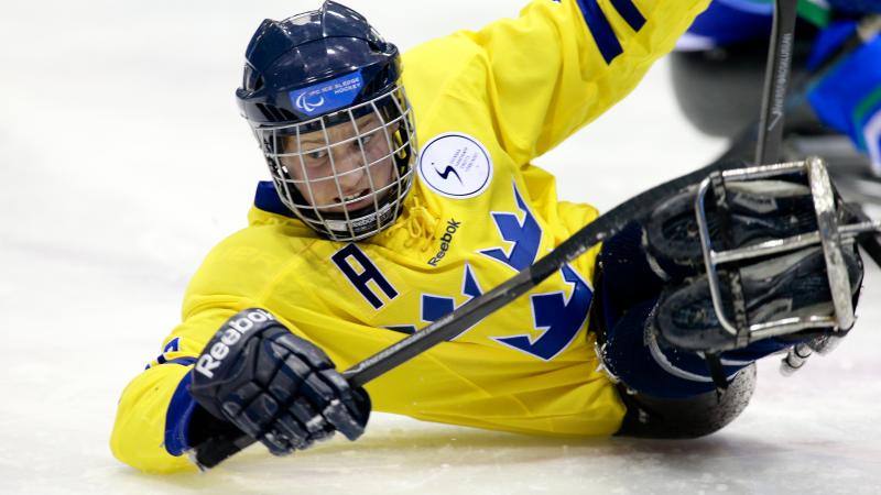 Swedens ice sledge hockey team
