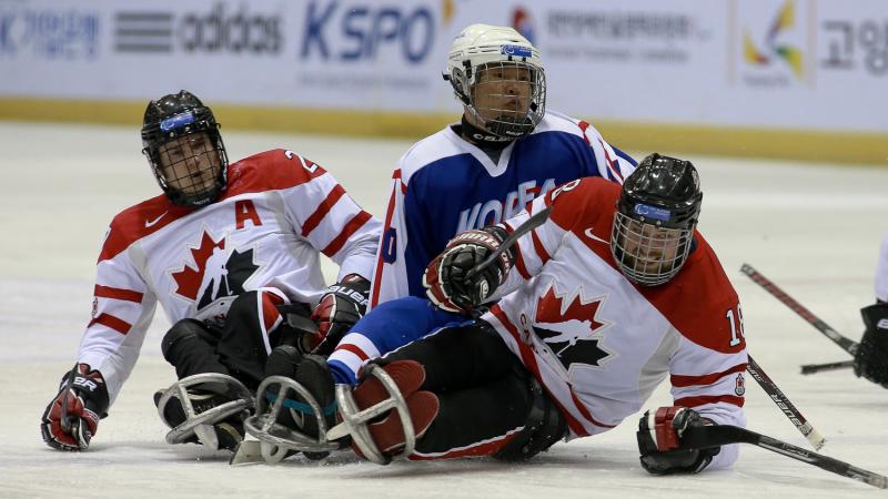 Canada and South Korea's ice sledge hockey's teams