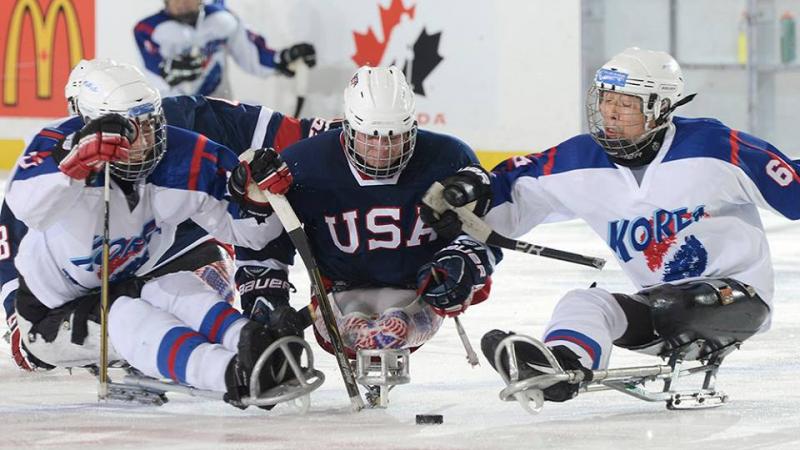 USA and South Korea's ice sledge hockey teams