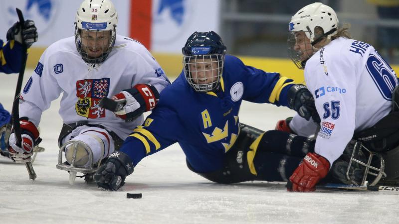 Per Kasperi at the 2013 IPC Ice Sledge Hockey World Championships