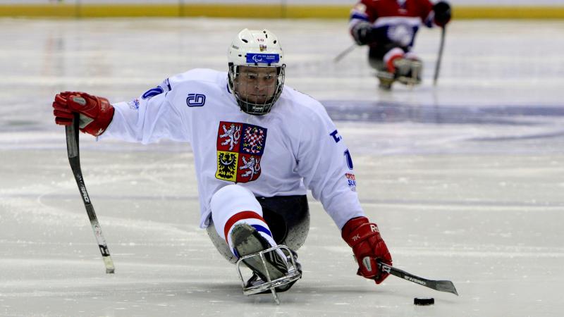 Czech Republic ice sledge hockey team