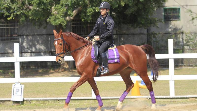 A para-equestrian rider is pictured galloping on his horse.