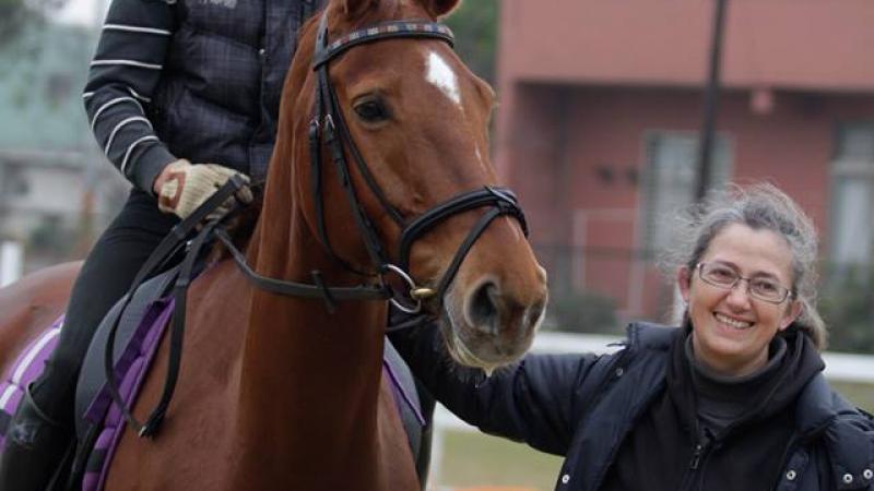 A horse trainer is pictured walking alongside a rider on his horse.