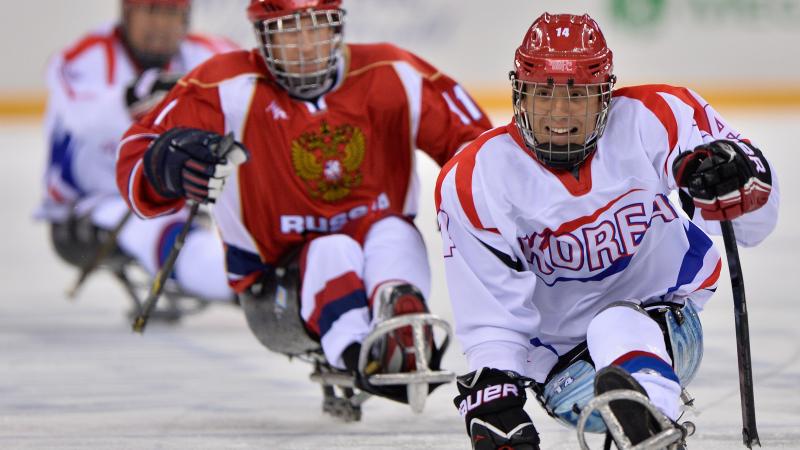 An ice sledge hockey player scoots up the ice with the puck.